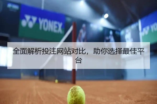 全面解析投注网站对比，助你选择最佳平台