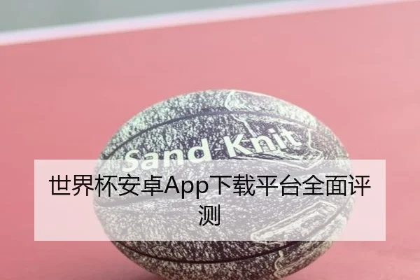 世界杯安卓App下载平台全面评测