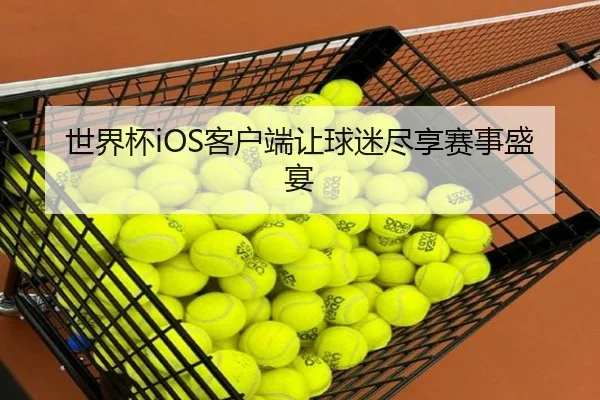 世界杯iOS客户端让球迷尽享赛事盛宴