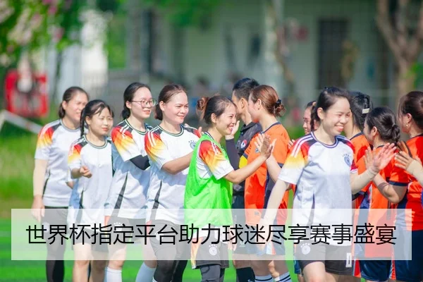 世界杯指定平台助力球迷尽享赛事盛宴