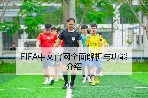 FIFA中文官网全面解析与功能介绍